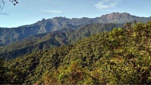 Parque Nacional Natural Tatamá es reconocido por tener una amplia variedad de especies de animales y vegetación. Foto: PNN