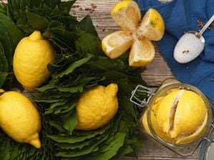 Fermented lemons in jars with salt, bay leaf and coriander. Probiotics, fermented foods. Moroccan salted lemons. Fresh, healthy food. Top view