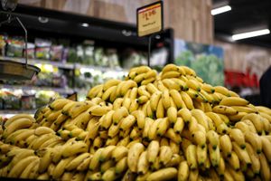 Colombia exporta el 90% de los bananos que produce.