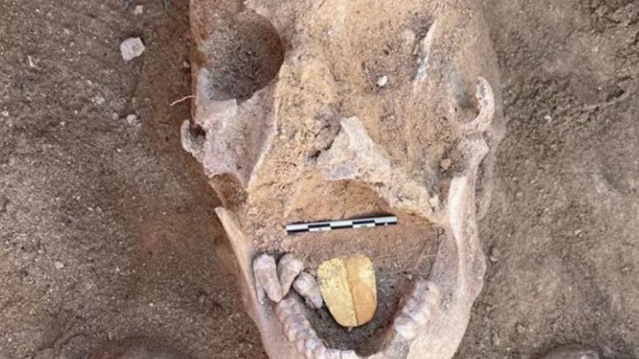 Desde 2021, cuando se encontró la primera momia, se han extendido las excavaciones que han revelado muchas más momias con esta característica