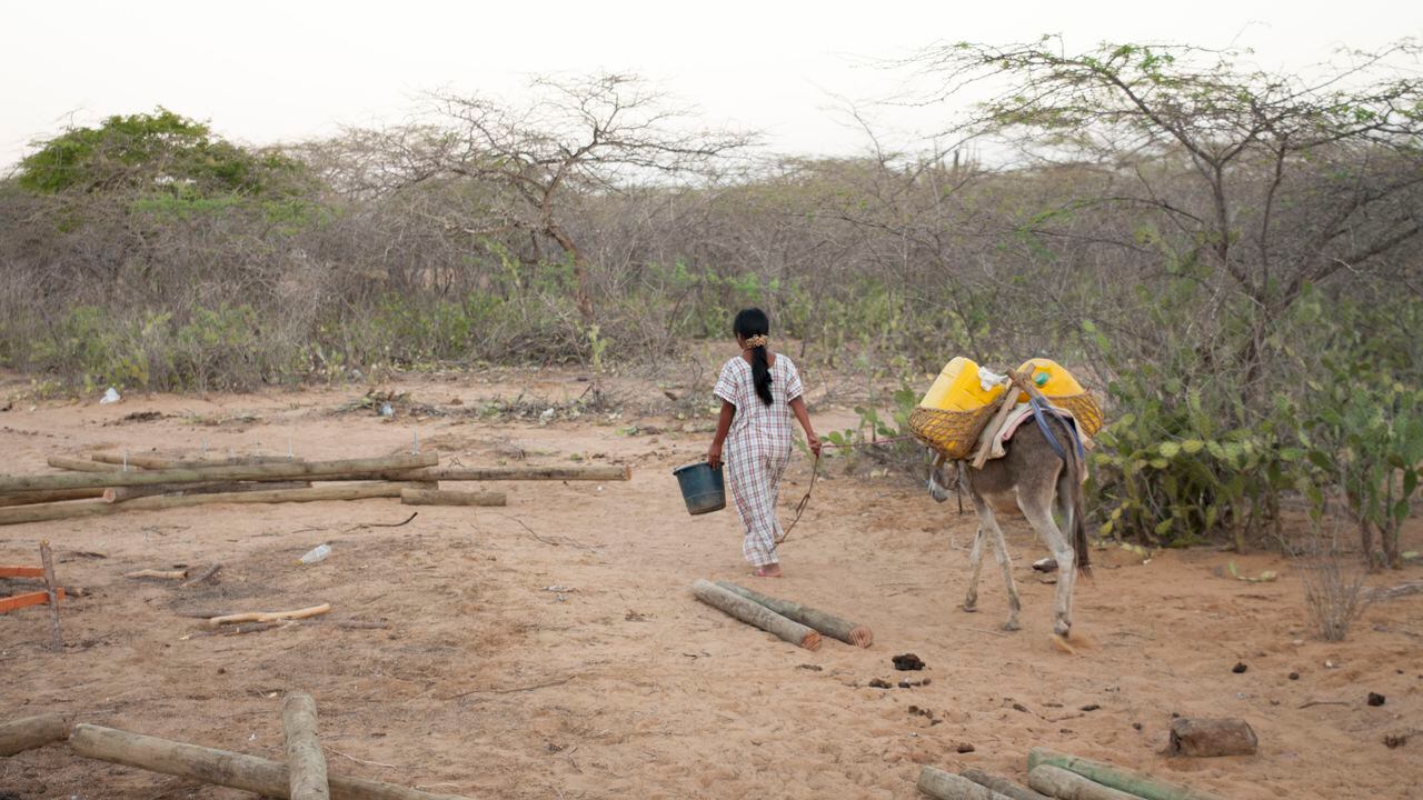 Los wayuu tienen que caminar largos trayectos para conseguir agua.