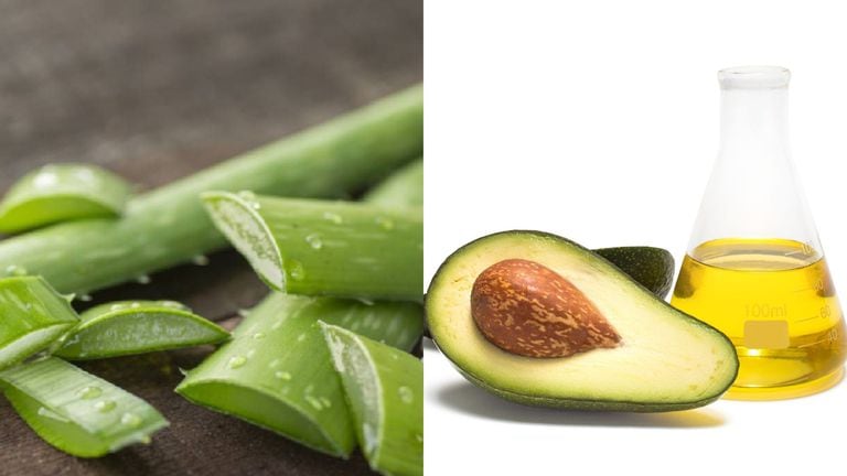 Con el aceite de aguacate y el aloe vera se puede aumentar el colágeno en el cuerpo.