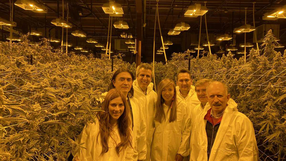 Congresistas colombianos en unas fábrica de Cannabis legal en Estados Unidos