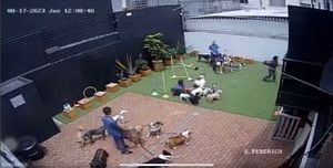 Imágenes de los perritos en la guardería durante el sismo.