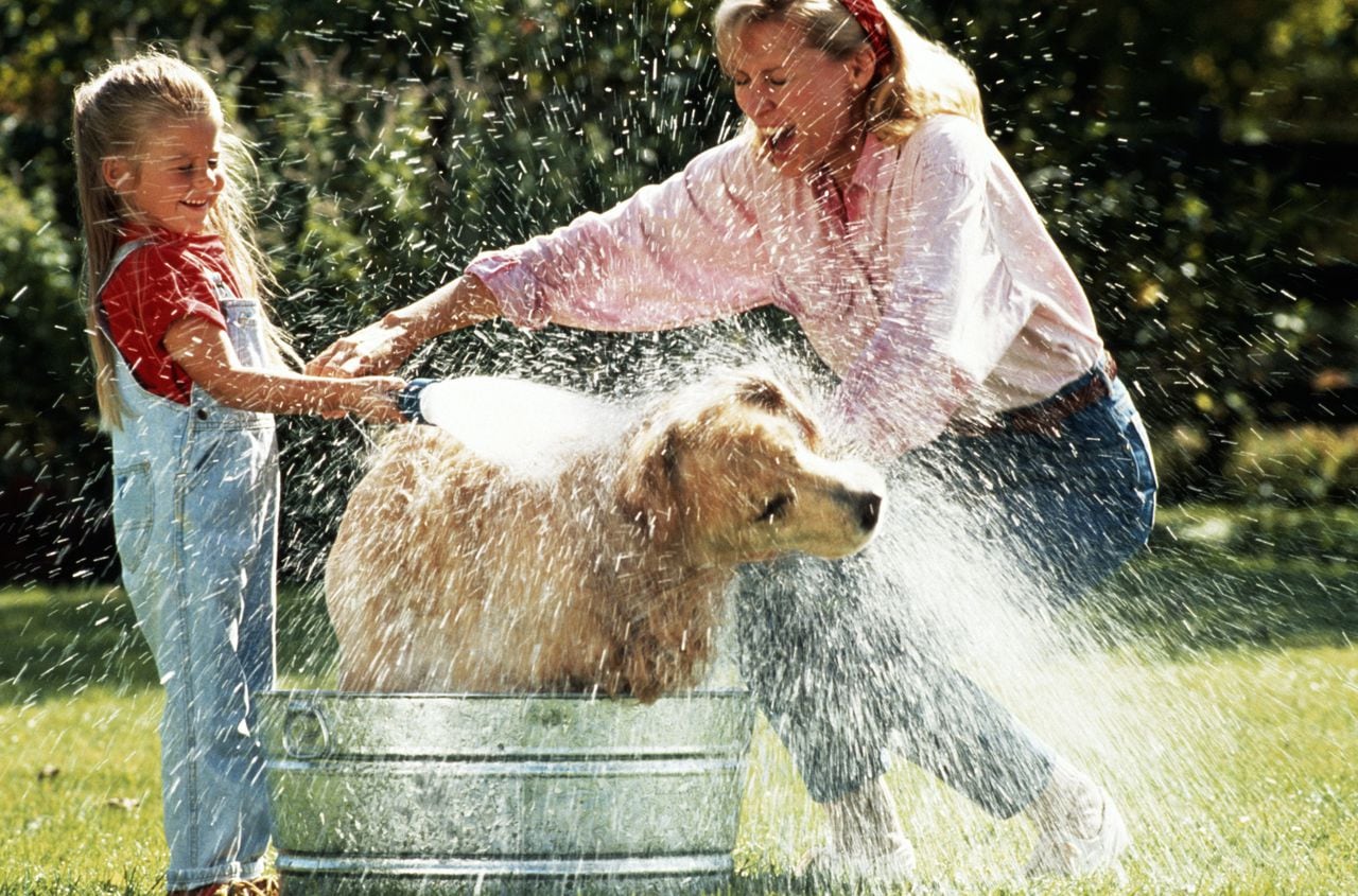 Una mujer y un niño bañando a su mascota con una manguera, mientras, el se sacude del agua.
