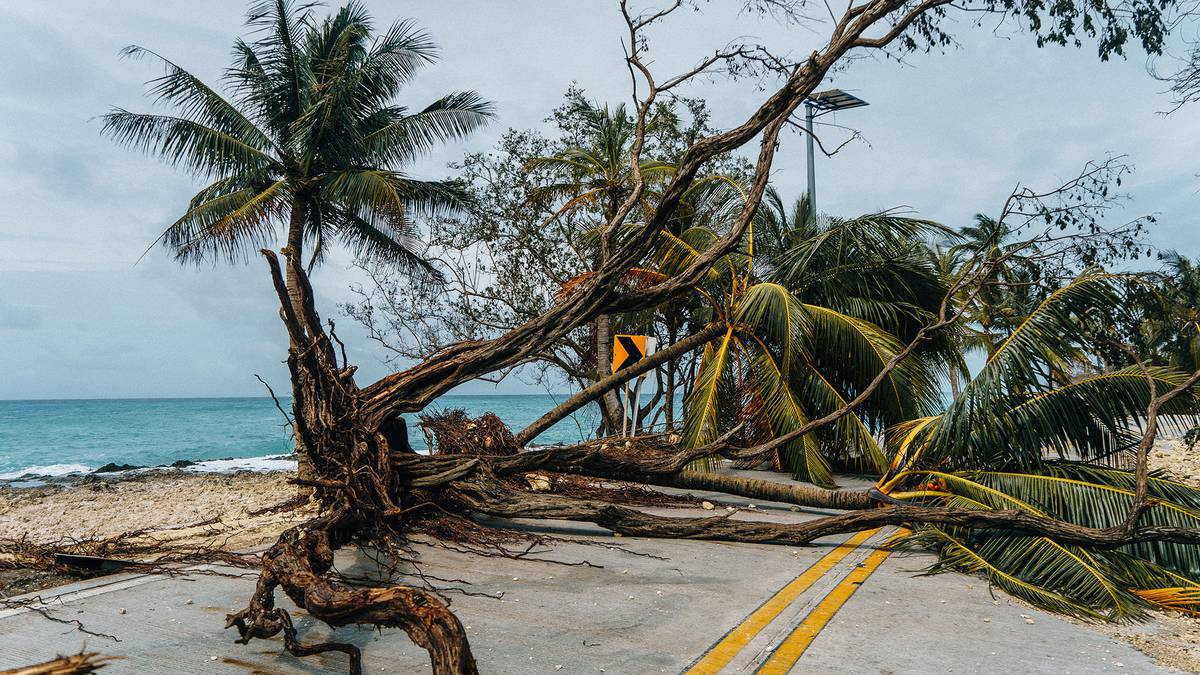 Devastación por el paso del huracán Iota en San Andrés.