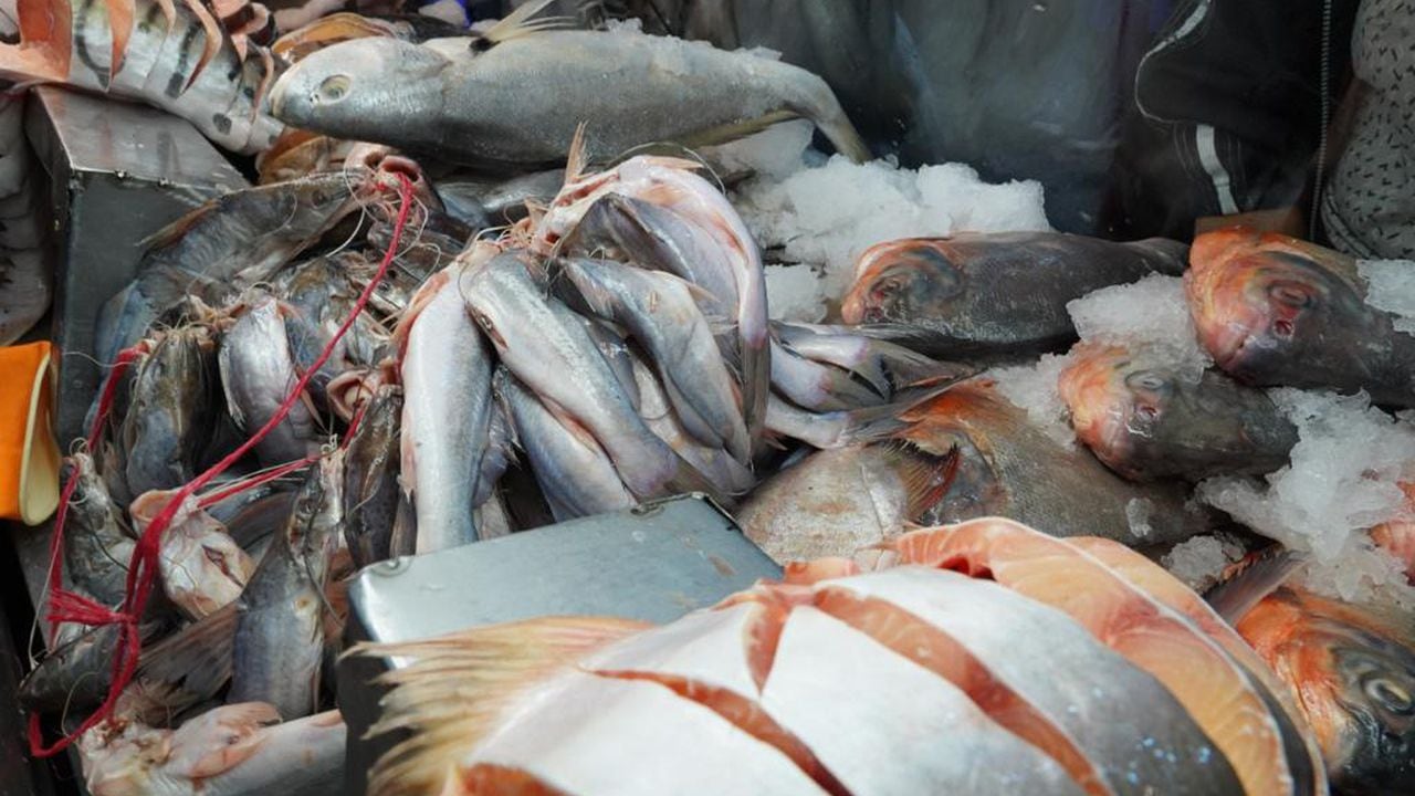 La  Secretaría pide a la ciudadanía que adquiera productos de pesca en sitios reconocidos, que conserven medidas de refrigeración y condiciones de limpieza.