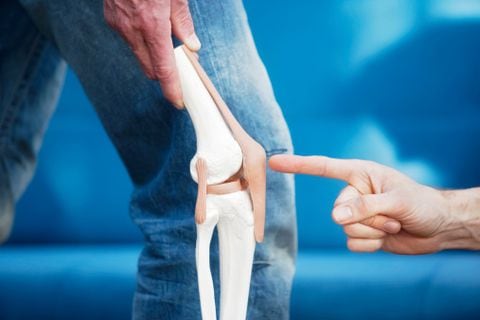 Los cartílagos de la rodillas son tejidos firmes y flexibles que protegen los extremos de los huesos en las diferentes articulaciones.