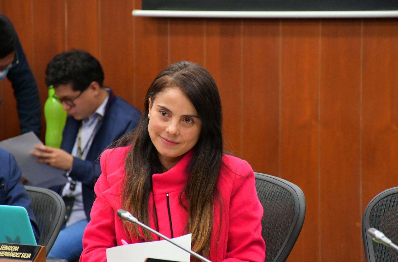 Senadora Esmeralda Hernández.