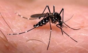 El zancudo también es portador del virus del Zika y Chikungunya. El dolor de cabeza y el vómito son los principales síntomas.