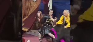 Un oso atacó a su entrenadora en circo de Rusia