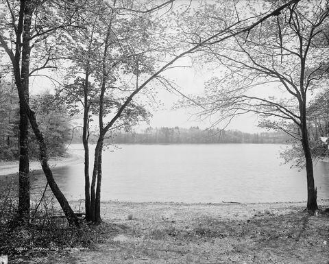 Vista de la laguna Walden, en Massachusetts, Estados Unidos. Wikimedia Commons