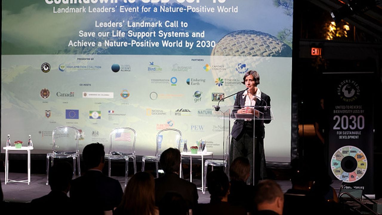 La ministra de Ambiente, Susana Muhamad, en el evento Countdown to COP15