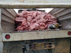 Carne en mal estado fue incautada en el municipio de Donmatías, Antioquia.