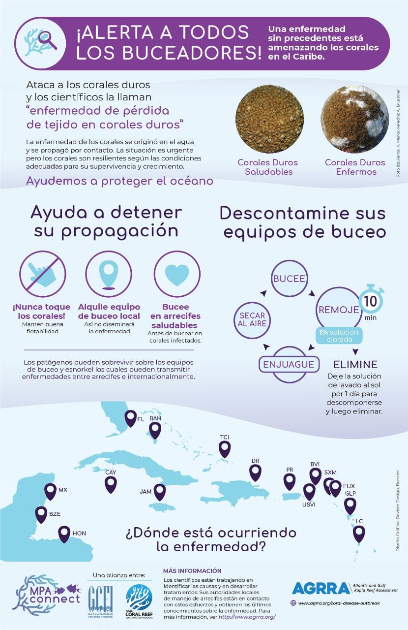 Alerta y recomendaciones a buceadores en las cercanías del Archipiélago de San Andrés, Providencia y Santa Catalina por enfermedad en la barrera de coral.