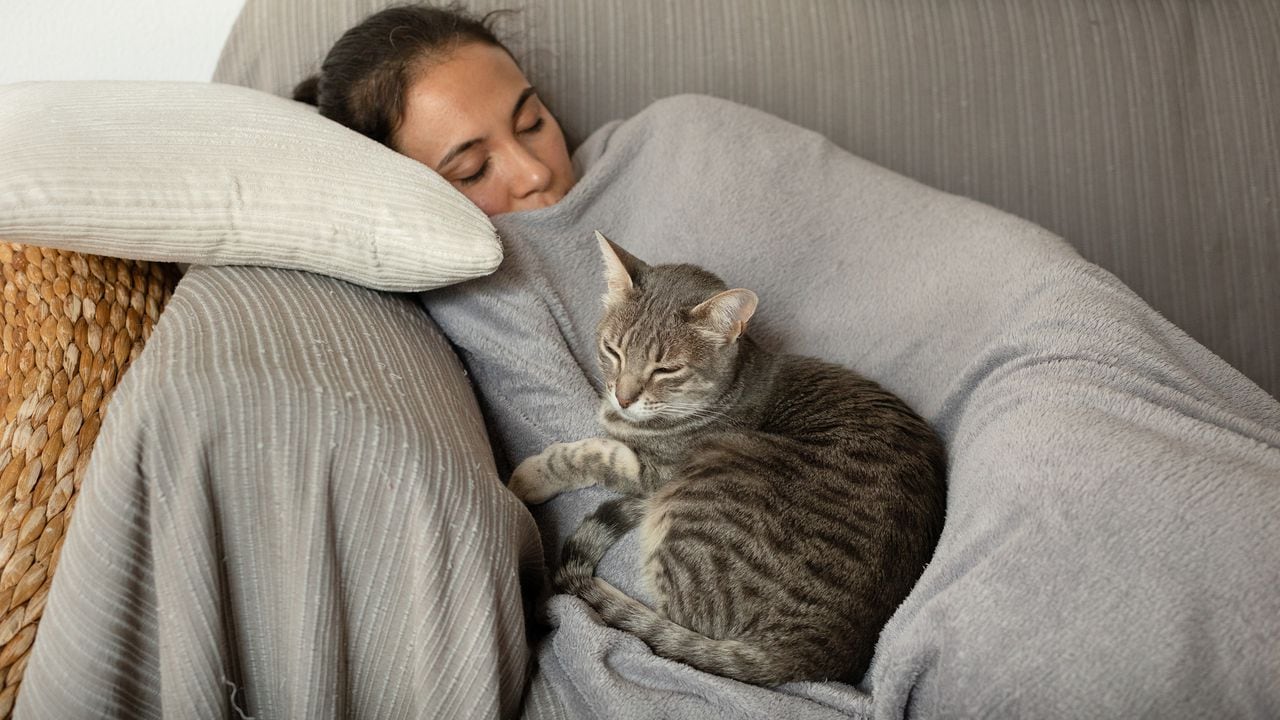 Los gatos eligen a quién acurrucarse en la noche y aquí se explican las razones.