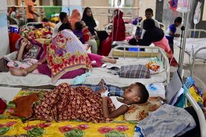 Una niña que sufre dengue recibe tratamiento en el Hospital y Facultad de Medicina de Mugda en Dhaka el 3 de octubre de 2023. Más de 1.000 personas en Bangladesh han muerto de dengue este año, el peor brote registrado en el país de la enfermedad transmitida por mosquitos, que es aumentando en frecuencia debido al cambio climático. (Foto de Munir uz ZAMAN / AFP)