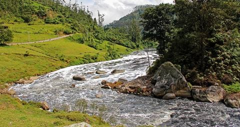 El río Bogotá es rico en especies y ecosistemas, provee recurso hídrico a más de 10 millones de personas