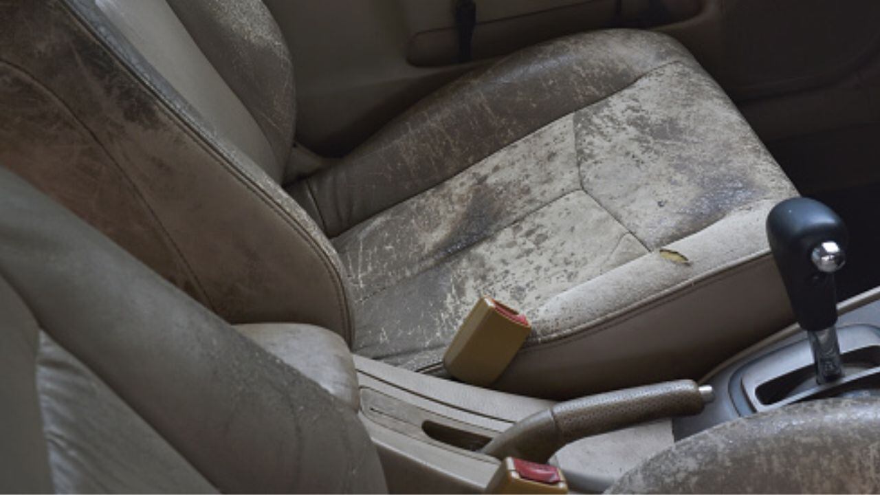 Limpieza tapicería coche, consejos prácticos de precaución ✓✓
