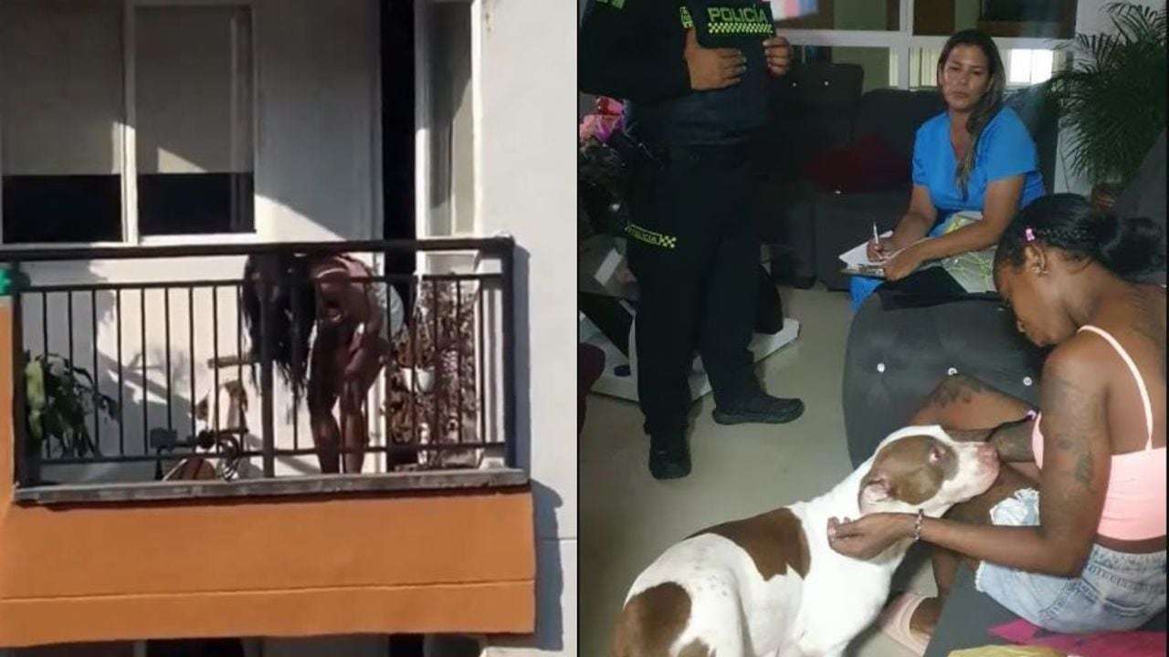 La Policía acudió al sitio para atender la denuncia hecha por la comunidad, sin embargo, critican que la perrita y sus cachorros no fueron rescatados.
