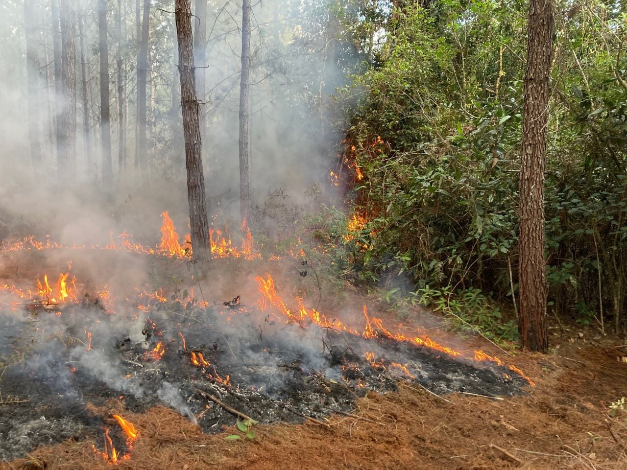 Denuncian quema de maquinaria y violencia contra trabajadores de Smurfit Kappa en Cajibío, Cauca.
