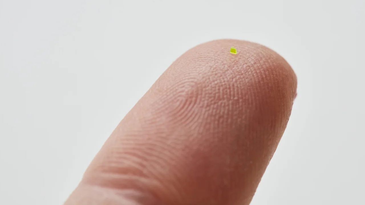 Este es el bolso más pequeño del mundo: microscópico y con