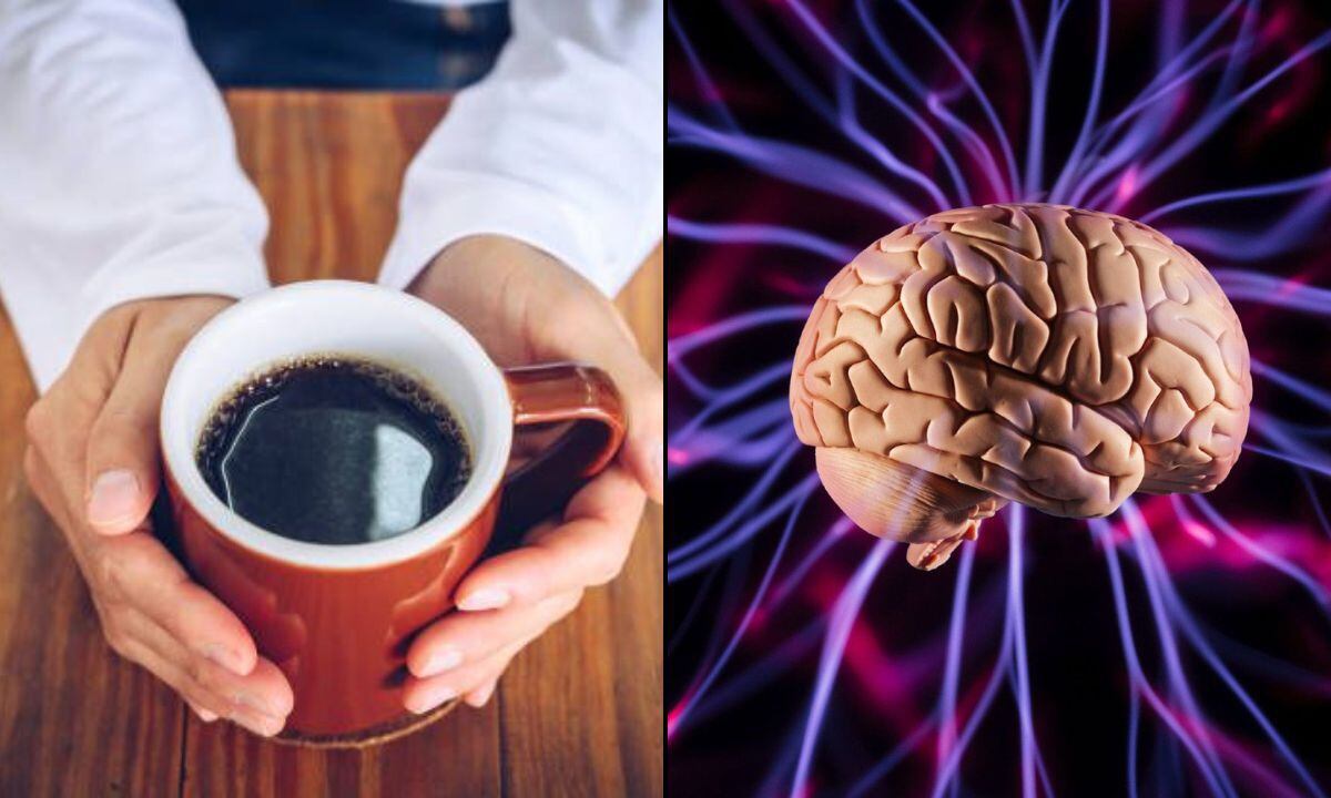 El café y su relación con el cerebro.