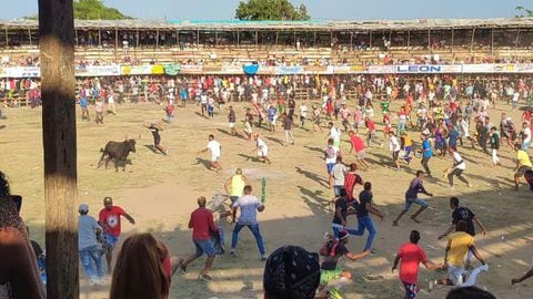 El espectáculo taurino fue irrumpido por aficionados que retaron los toros y salieron lesionados.