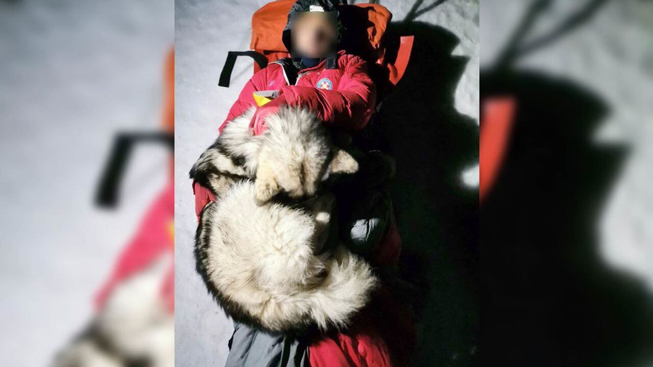 Un perro salva a un excursionista en una montaña croata