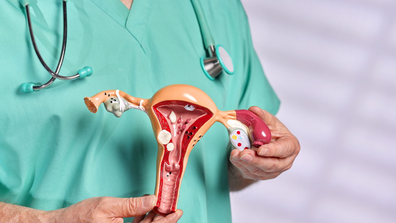 Obstetrician–Gynecologist holding teaching tool model of women's uterus and ovary and discussing the common diseases associated with women's health. Dressed in green scrubs