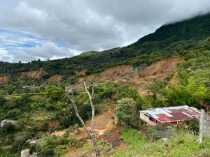 Los derrumbes en Rosas, Cauca, comprometieron 50 hectáreas de tierra.