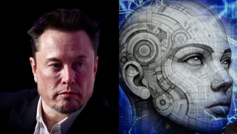 Musk sorprendió con la revelación.