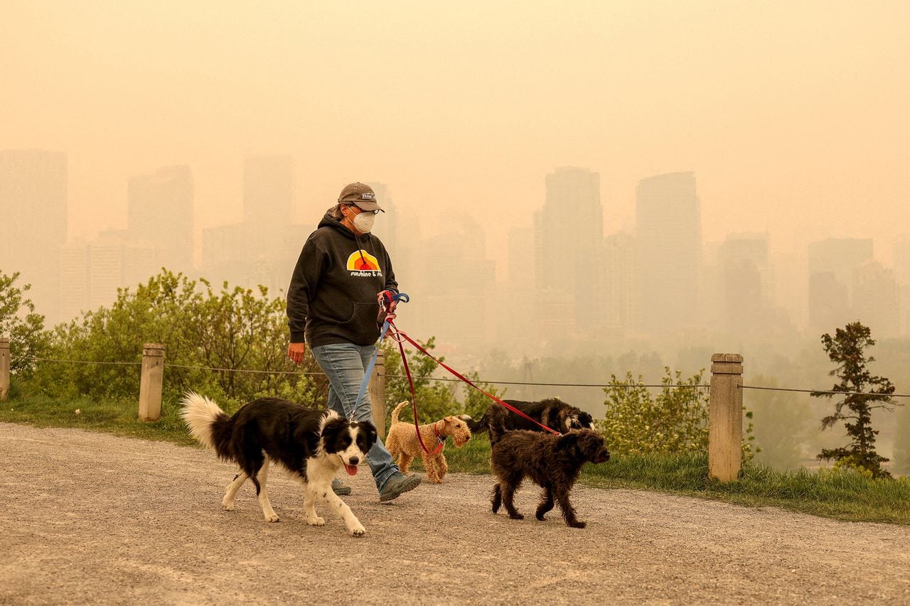 En imágenes : 90 incendios forestales arrasan el oeste de Canadá
