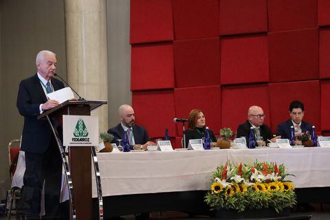 Rafael Hernández Lozano, gerente general de la Federación Nacional de Arroceros (Fedearroz), durante el encuentro con los representantes del sector.