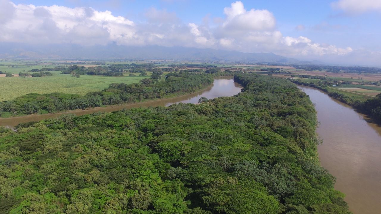 El Valle del Cauca cuenta con 642.591 hectáreas en 219 áreas protegidas.