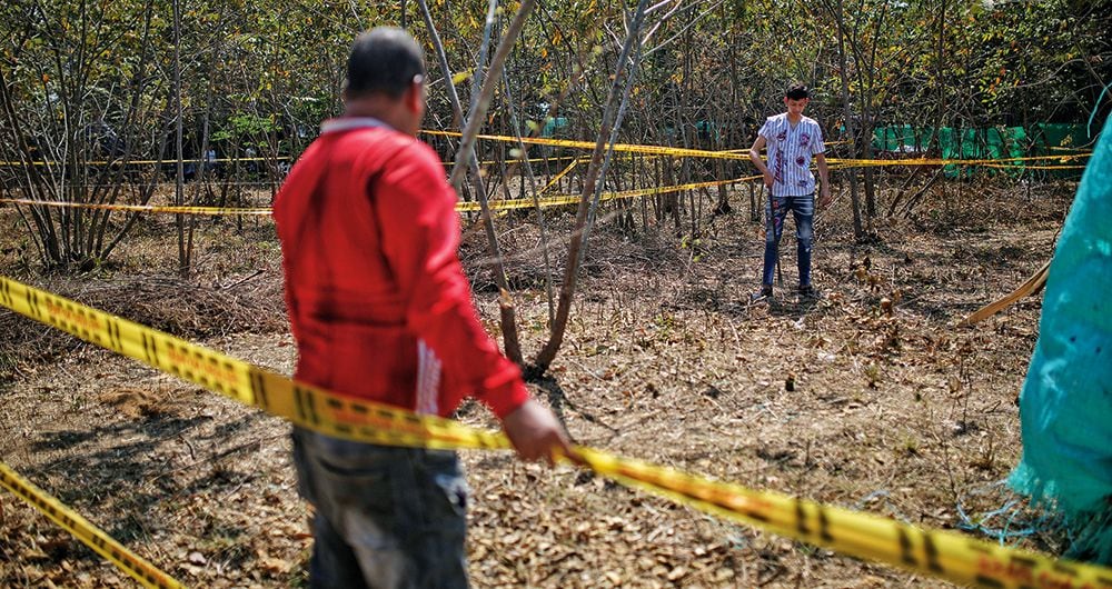    En el Magdalena hay riesgo de invasión de al menos cuatro mil hectáreas. Bandas organizadas estarían detrás de estos hechos.