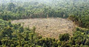 La Amazonía continúa siendo la zona en mayor peligro.