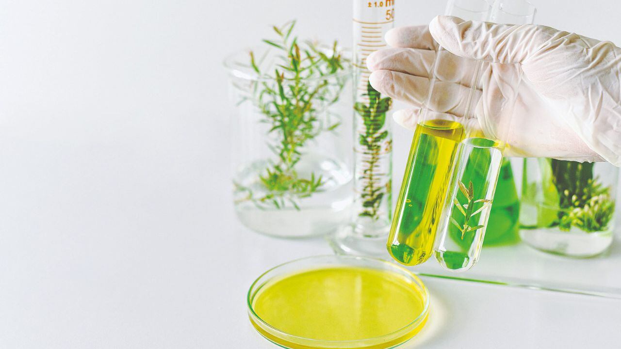 Pharvet trabaja con componentes más naturales extraídos de las plantas y aceites esenciales que mejoran las propiedades nutricionales y curativas de los productos farmacéuticos.