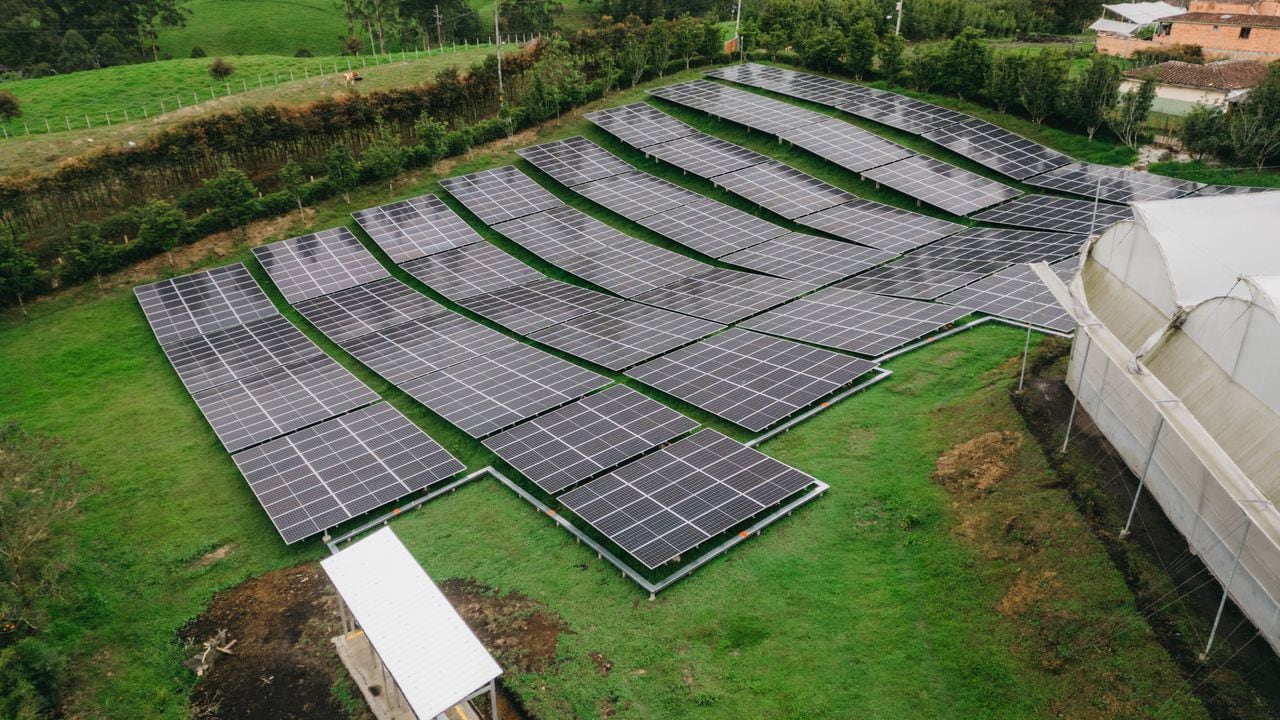 Flores Silvestres, la empresa colombiana que le apuesta a la sostenibilidad gracias a la energía fotovoltaica; ¿de qué trata?