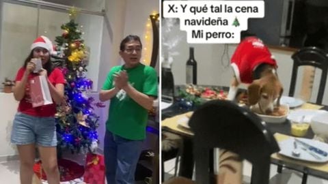 Perro se vuelve viral tras aprovechar la entrega de regalos para comerse la cena de Navidad