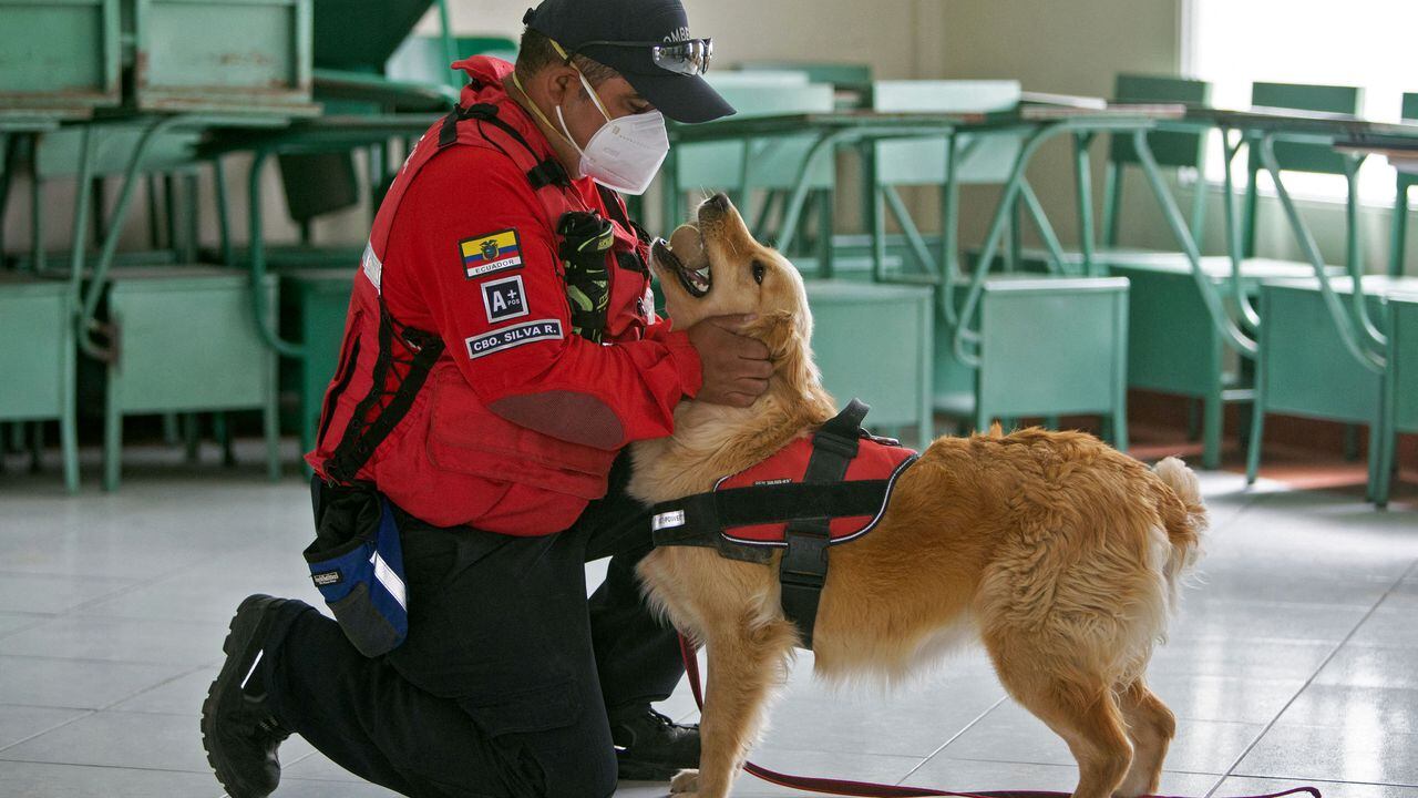 A member of the Fire Department and his binomial are seen during an experimental phase to training dogs to detect the presence of the novel coronavirus COVID-19 in humans, a programme by the Fire Department of France, the Secretariat of Risk Management and the Ministry of Public Health of Ecuador together with the Pablo Arturo Suarez Hospital, at this hospital in Quito, on June 26, 2021. (Photo by Cristina Vega RHOR / AFP)
