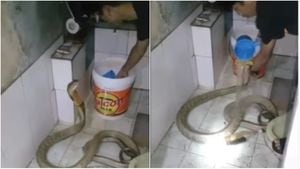 El video de una serpiente siendo "bañada" acumula más de 181.000 'me gusta' en Instagram.