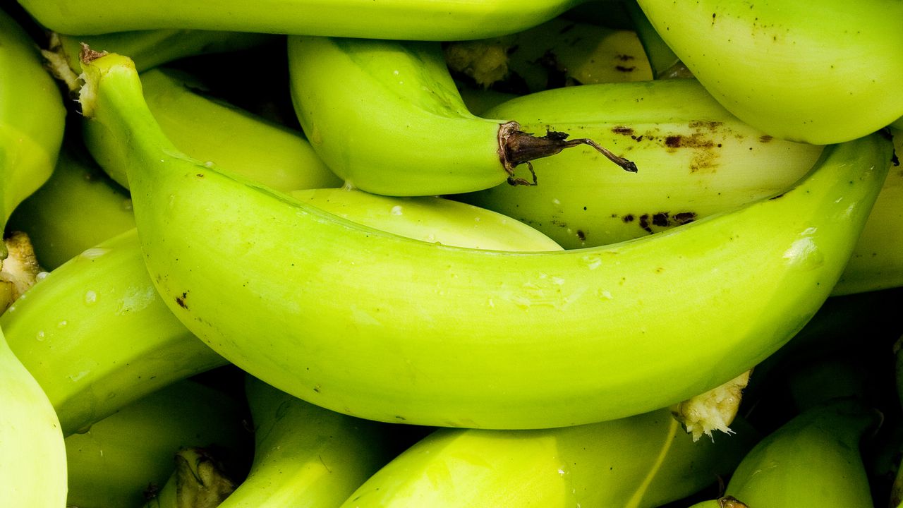 Banano del Urabá / Colombia. Getty Images.