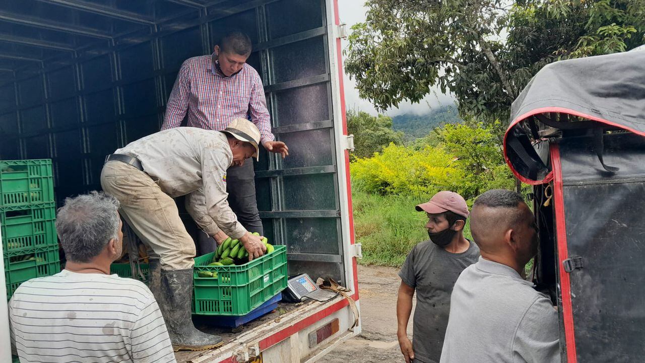 La Gobernación de Cundinamarca lanzó “Misión Rescate”, una estrategia de la para comprar las cosechas a los agricultores afectados por la emergencia invernal