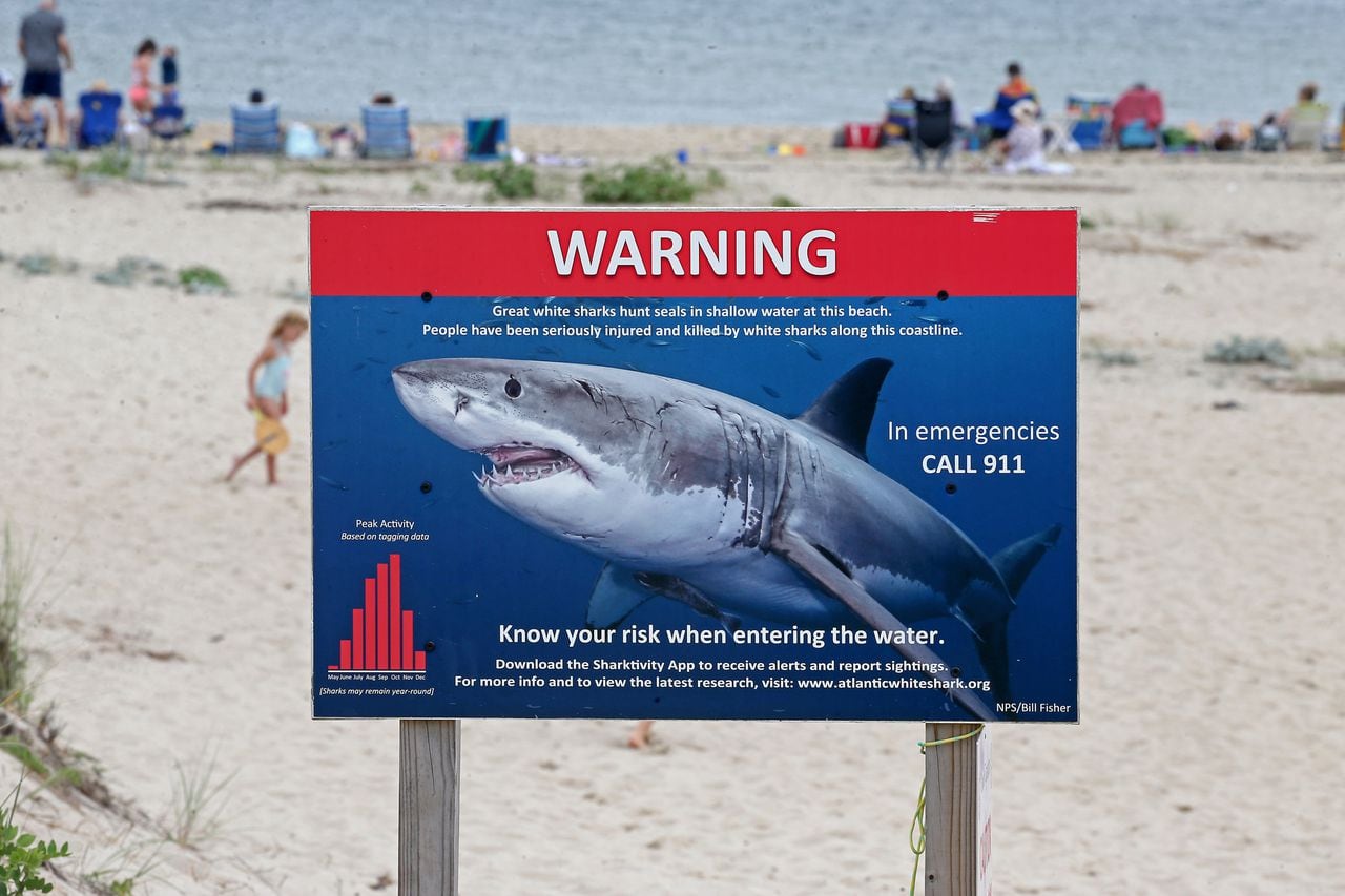 Señales de advertencia de tiburones en las playas