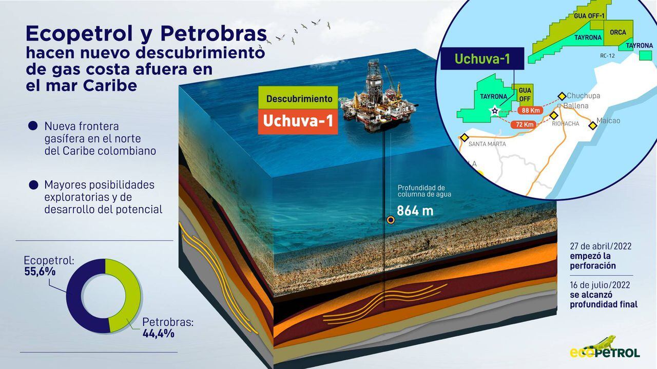 Petrobras es el operador del bloque Tayrona con una participación del 44,4 % y Ecopetrol tiene el restante 55,6 % restante.