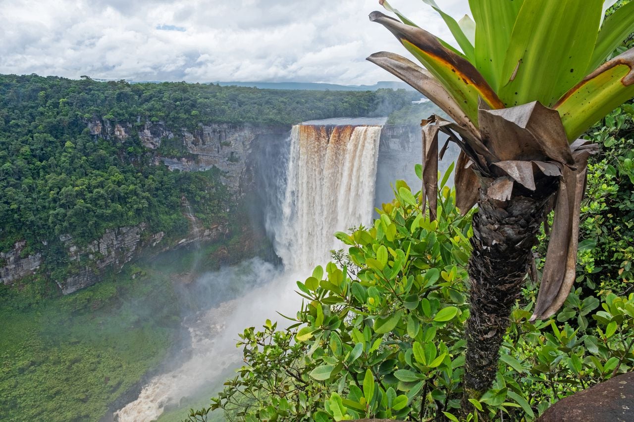 Cataratas Kaieteur en el río Potaro en el Parque Nacional Kaieteur, Guyana, Sudamérica. La cascada más grande del mundo en altura y volumen.