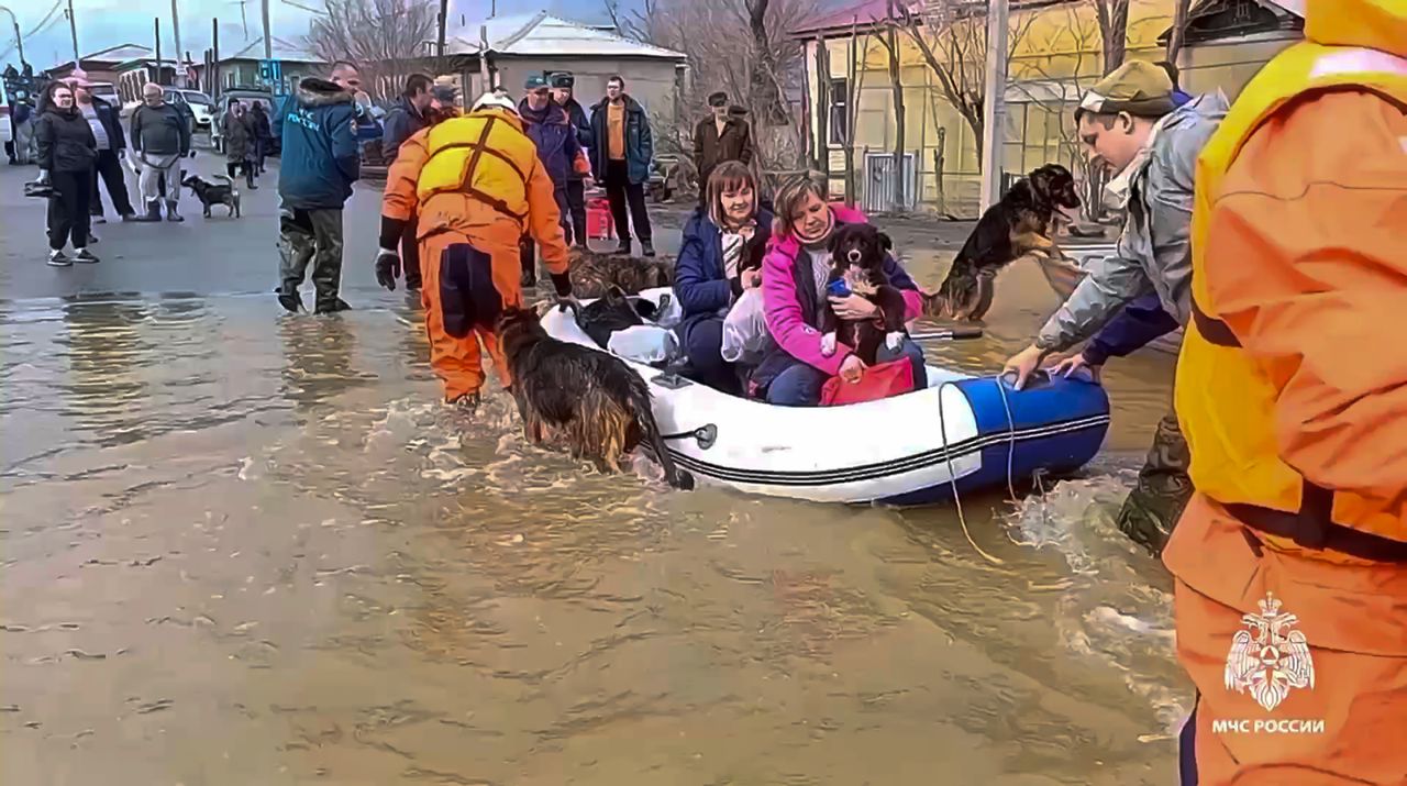 Trabajadores de emergencias evacúan a residentes locales y sus mascotas después de que parte de una represa se rompiera y provocara inundaciones, en Orsk, Rusia. (Servicio de prensa del Ministerio de Emergencias  via AP)