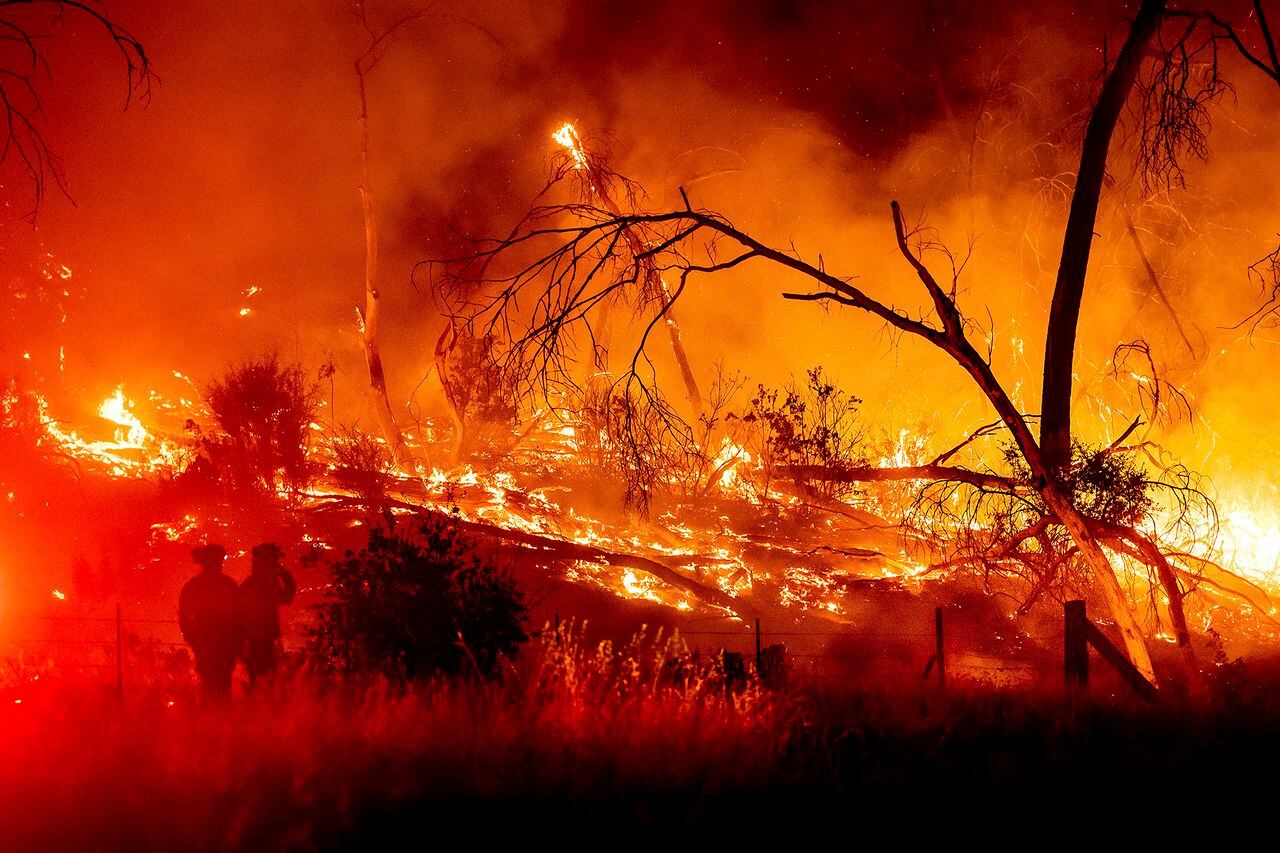 En imágenes: Incendios forestales de California