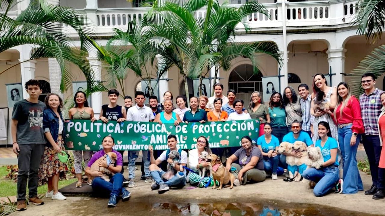 Política Pública de Protección y Bienestar Animal fue aprobada en el Valle del Cauca.